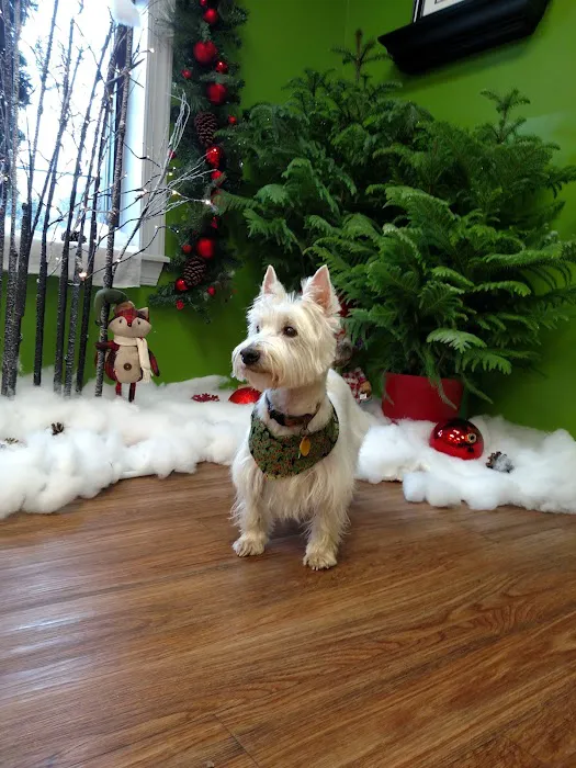 Montrose Animal Hospital Picture 4