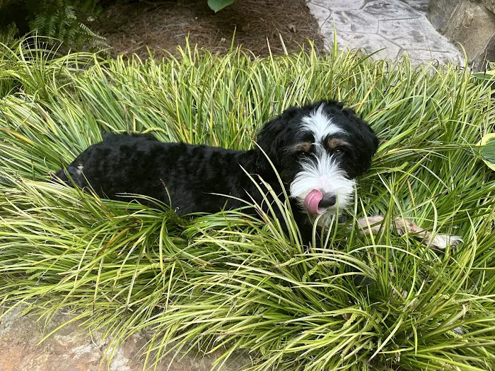 Montrose Animal Hospital Picture 3