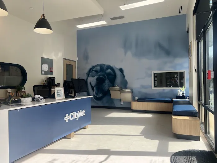 CityVet | Roswell Veterinary Clinic & Urgent Care Picture 6