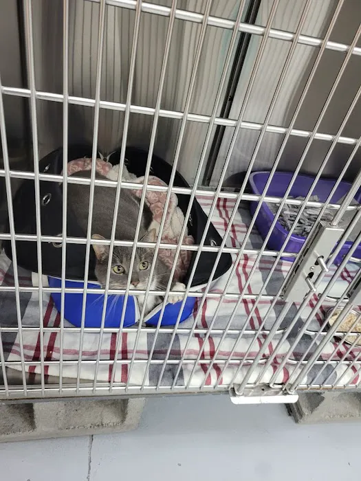 Pet Med Plus Picture 10