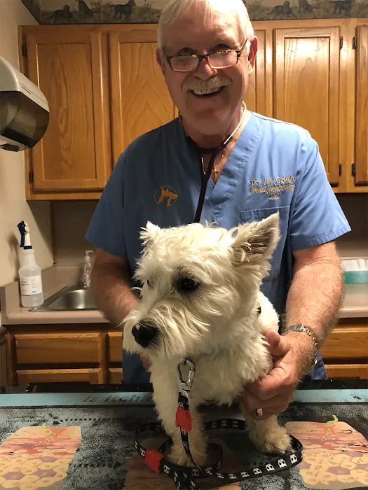 Veterinary Medical Center Picture 10