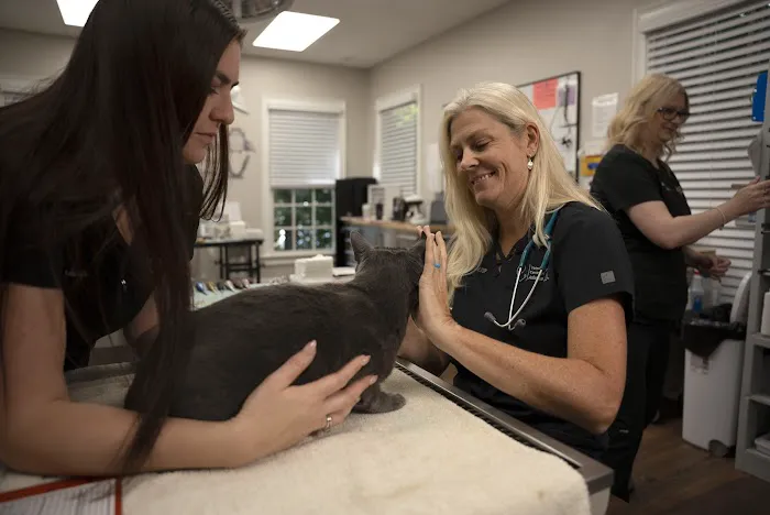 Veterinary Dental Center of Atlanta Picture 3