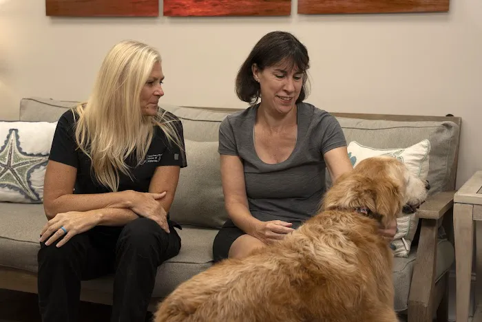 Veterinary Dental Center of Atlanta Picture 10