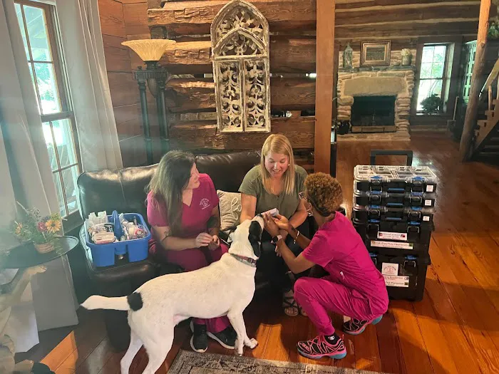 Vets Off Leash - Mobile Veterinary Clinic Picture 8