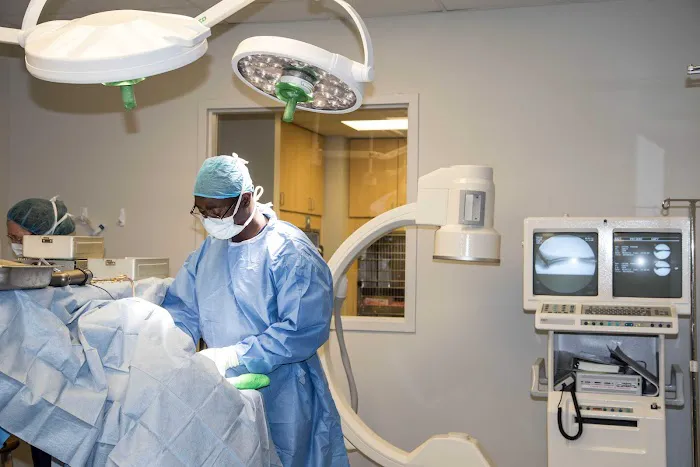 North Georgia Veterinary Specialists Picture 7
