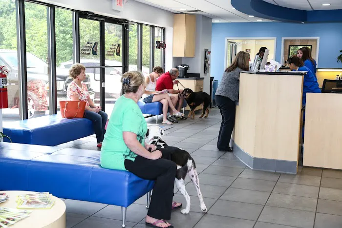 North Georgia Veterinary Specialists Picture 9