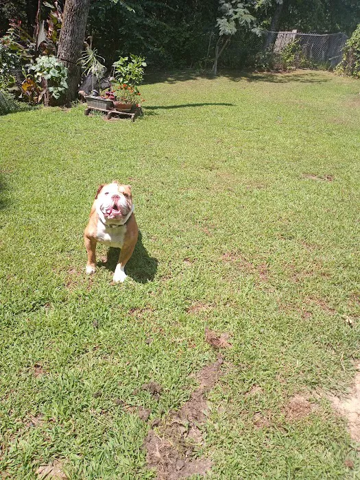 Suwanee Animal Hospital Picture 7