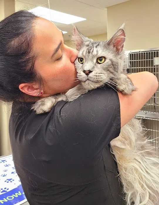 Olde Towne Animal Hospital Picture 5