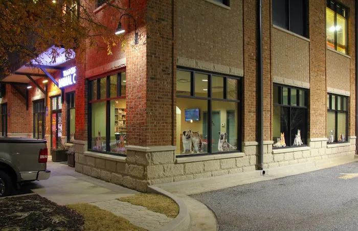 Town Center Animal Clinic Picture 2