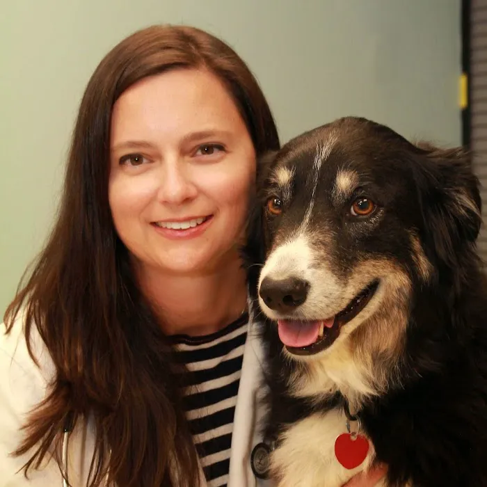 Town Center Animal Clinic Picture 1