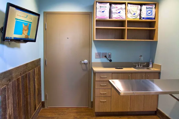 Town Center Animal Clinic Picture 9
