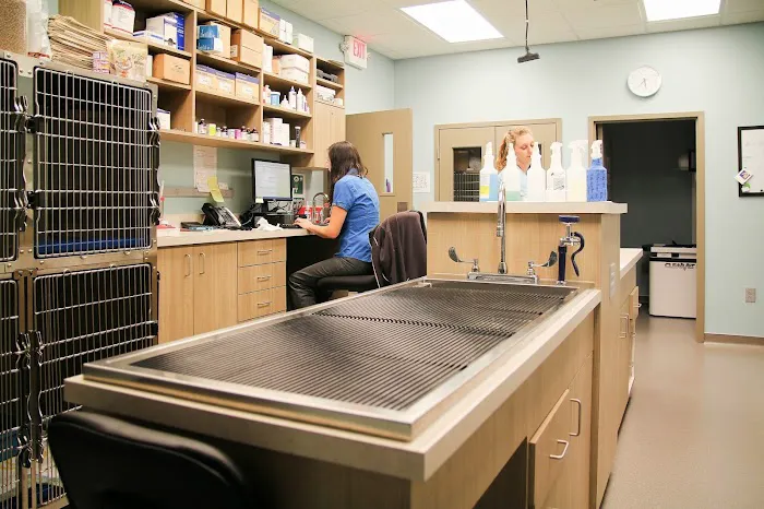 Town Center Animal Clinic Picture 8