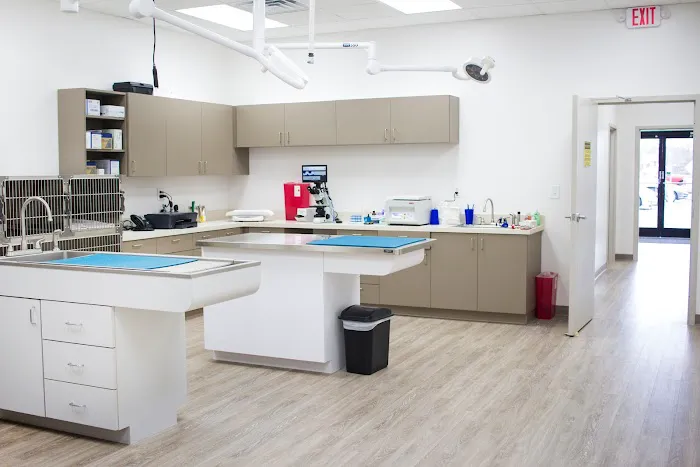 Total Veterinary Care - Buford Picture 4