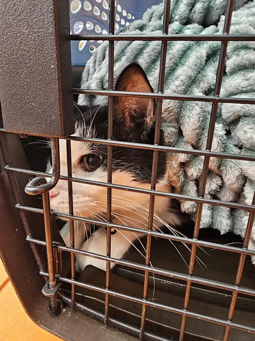 Banfield Pet Hospital Picture 3