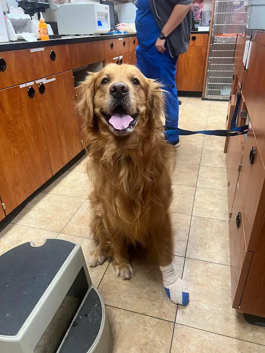 Banfield Pet Hospital Picture 8