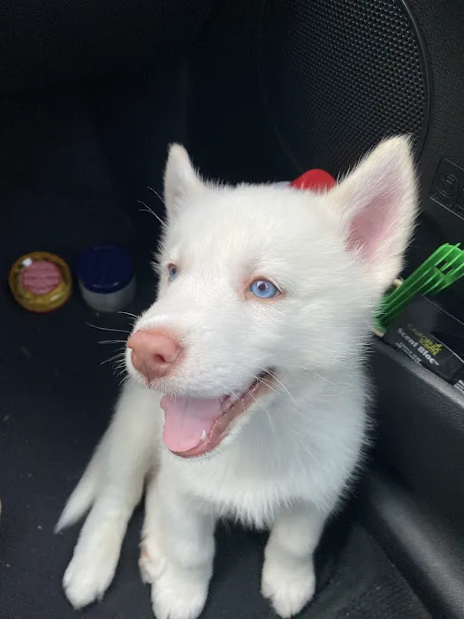 Banfield Pet Hospital Picture 9