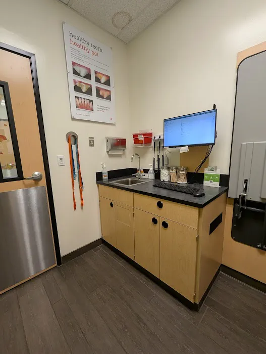 Banfield Pet Hospital Picture 9