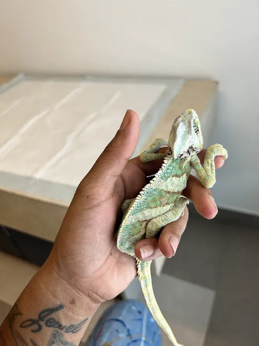 All Species Animal Hospital Picture 2