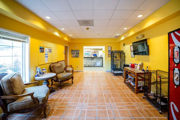 All Species Animal Hospital Picture 5