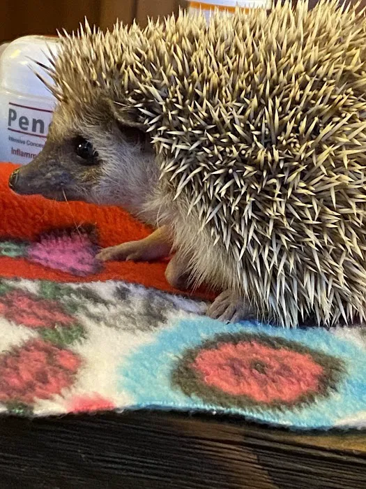 All Species Animal Hospital Picture 6