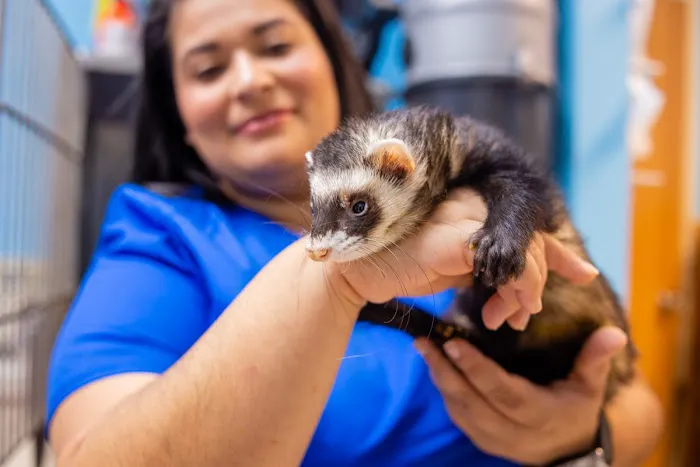 All Species Animal Hospital Picture 3