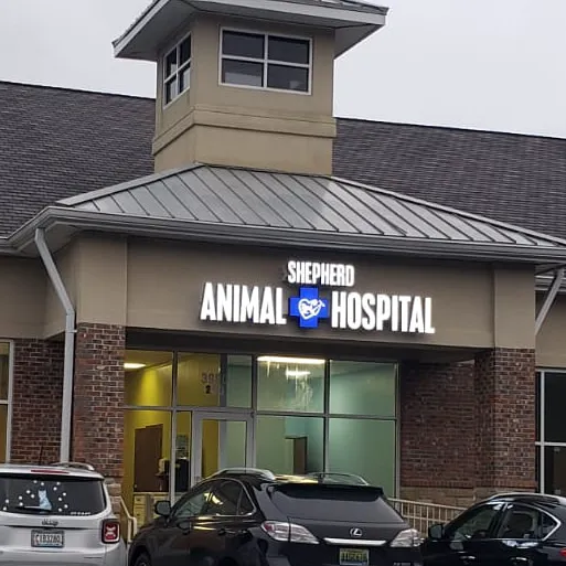 Shepherd Animal Hospital Picture 7