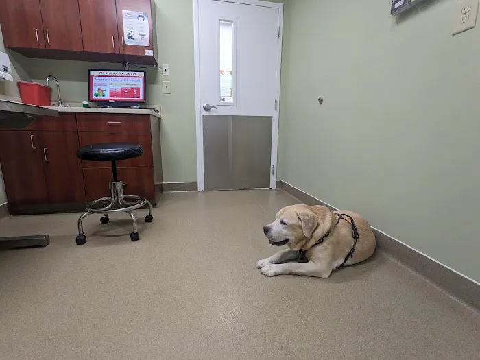 Duluth Animal Hospital Picture 3