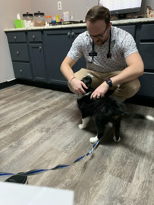 Oakwood Animal Hospital Picture 5