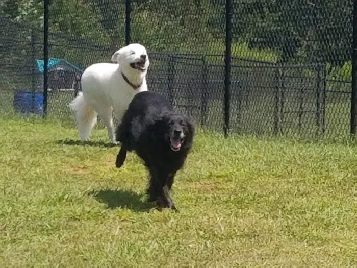 Family Pet Clinic Picture 4