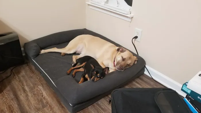 Family Pet Clinic Picture 10
