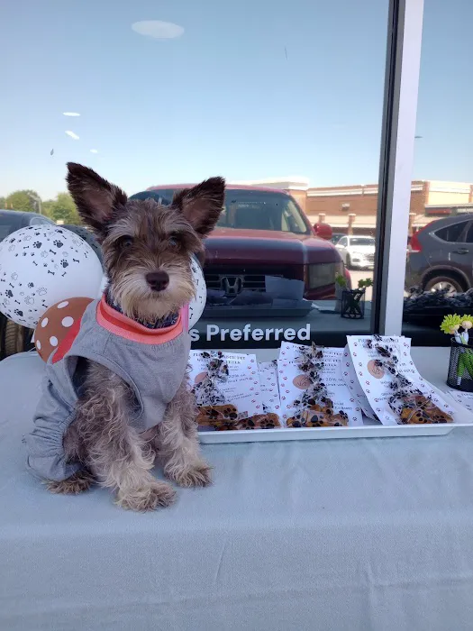 Flowery Branch Pet Wellness Center Picture 2