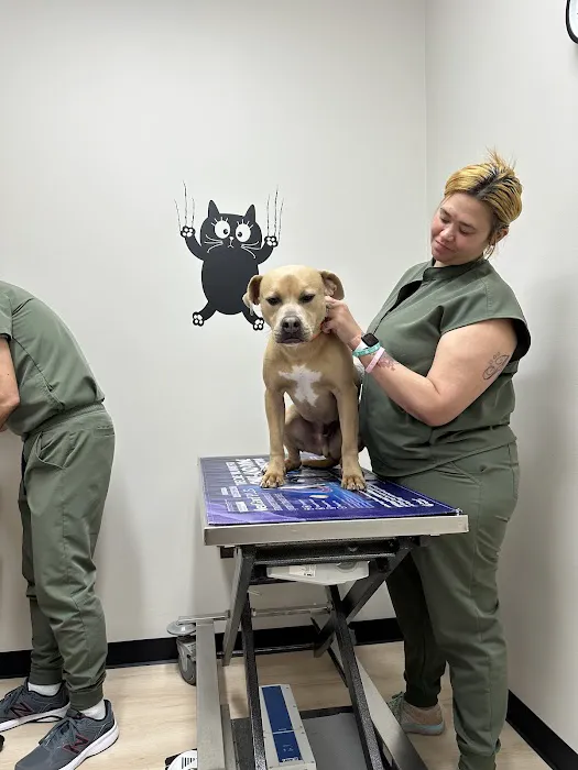 Flowery Branch Pet Wellness Center Picture 4