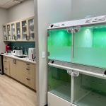 Flowery Branch Pet Wellness Center