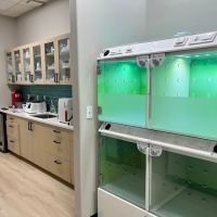 Flowery Branch Pet Wellness Center ico