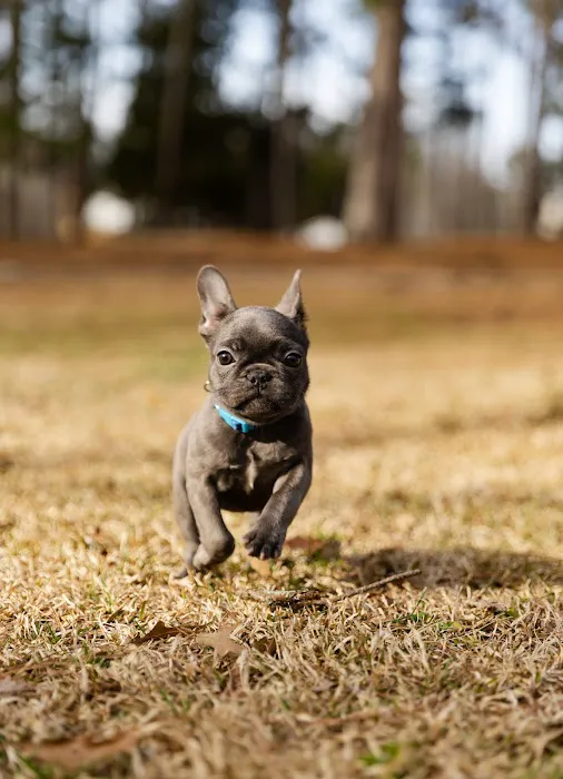 Flowery Branch Animal Hospital Picture 2