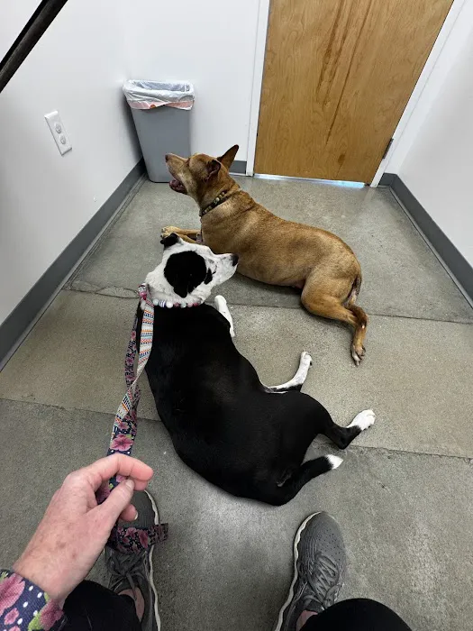 Flowery Branch Animal Hospital Picture 6