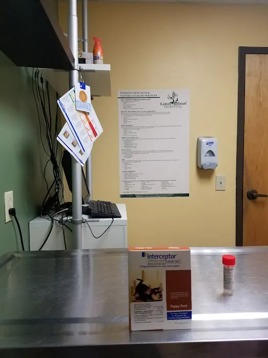 Lance Animal Hospital Picture 5