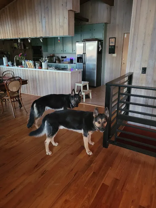 Lance Animal Hospital Picture 9