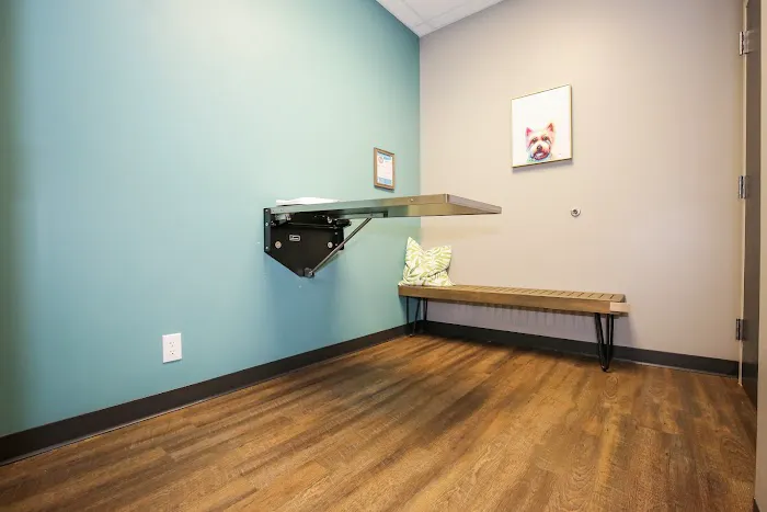 Hemlock Animal Hospital Picture 1