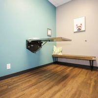 Hemlock Animal Hospital ico
