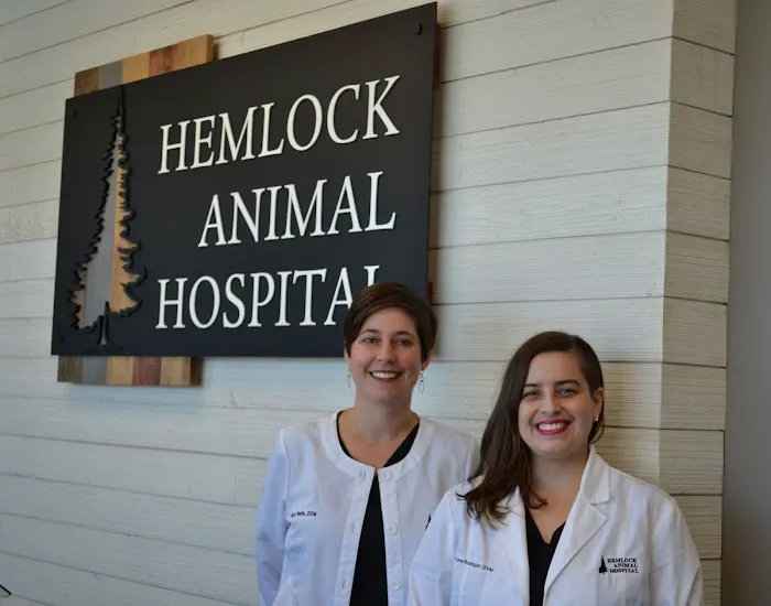 Hemlock Animal Hospital Picture 4