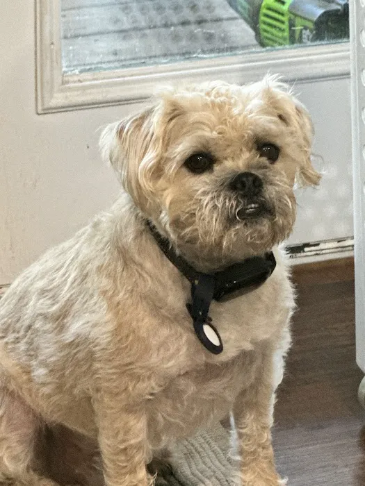 Hemlock Animal Hospital Picture 8