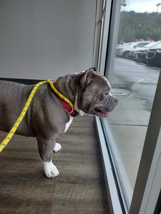 Hemlock Animal Hospital Picture 6