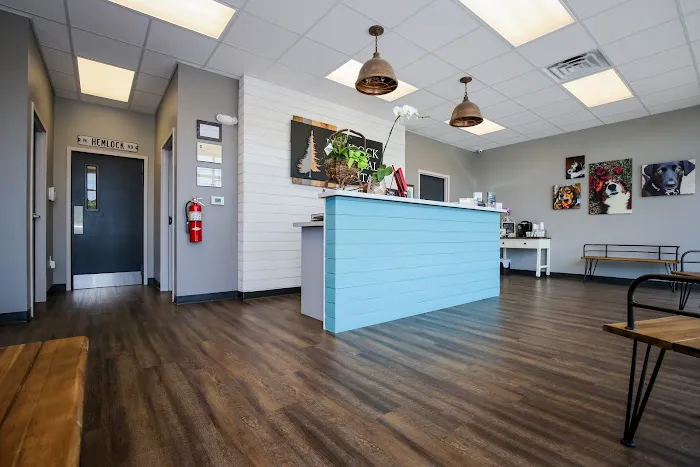 Hemlock Animal Hospital Picture 7