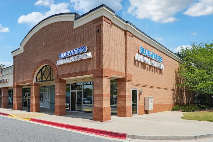 Blue Waters Animal Hospital Picture 2