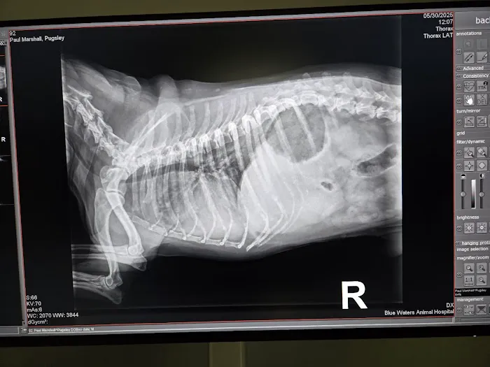 Blue Waters Animal Hospital Picture 4