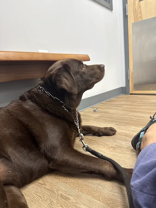 Blue Waters Animal Hospital Picture 8