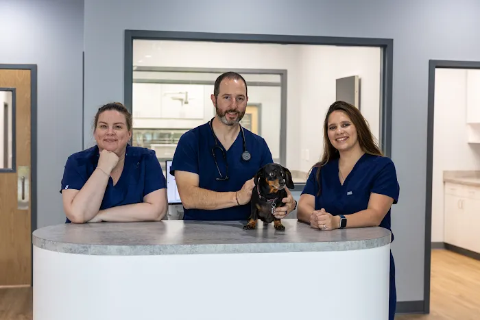 Blue Waters Animal Hospital Picture 10