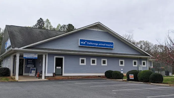 VCA Dahlonega Animal Hospital Picture 1