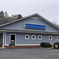 VCA Dahlonega Animal Hospital ico